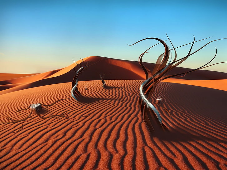 Tapeta cyfrowa brązowy deser, surrealistyczny, pustynia, piasek, sztuka cyfrowa, Muse, Tapety HD