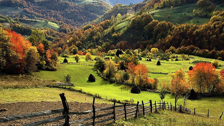 hills in the countryside-natural scenery widescree.., green leafed trees, HD wallpaper