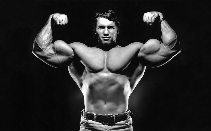 Arnold Schwarzenegger, män, Arnold Schwarzenegger, kändis, Bodybuilder, muskler, svartvit, HD tapet