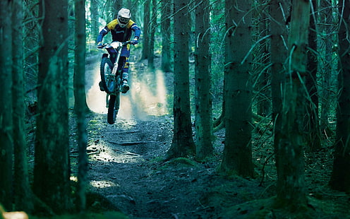 motor trail motorcross biru, sepeda motor, pembalap, kayu, lompat, ekstrim, Wallpaper HD HD wallpaper
