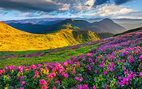 Piękny obszar przyrody z zieloną trawą i wiosennymi kwiatami Horyzont górski z górami i niebo z ciemnymi chmurami krajobraz ze Słowenii, Tapety HD HD wallpaper