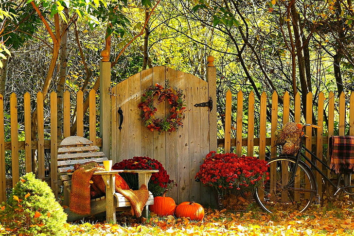 коричневая деревянная дверь, природа, велосипед, гора, чаша, кафе, лес, деревья, цветы, корона, осень, листья, чашка, кофе, лист, йесен, корона, цветение, HD обои