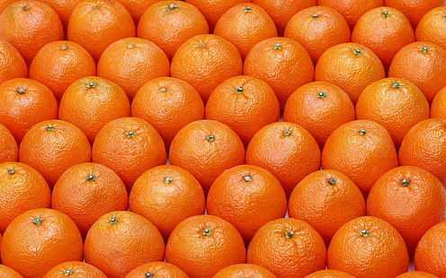 surtido de frutas naranjas, pared, comida, naranjas, frutas, frutas, cítricos, frescura, naranja - fruta, orgánica, madura, Fondo de pantalla HD HD wallpaper