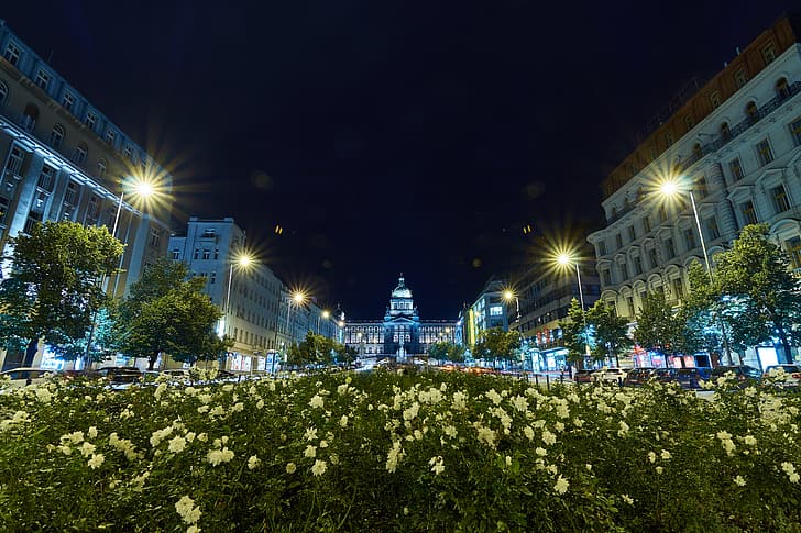 trees, flowers, night, the city, building, Prague, Czech Republic, lighting, lights, flowerbed, Wenceslas square, HD wallpaper