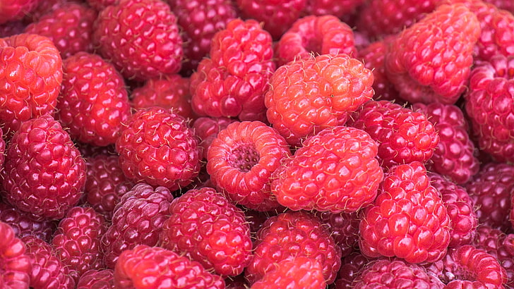 raspberries, berries, summer, ripe, vitamins, HD wallpaper