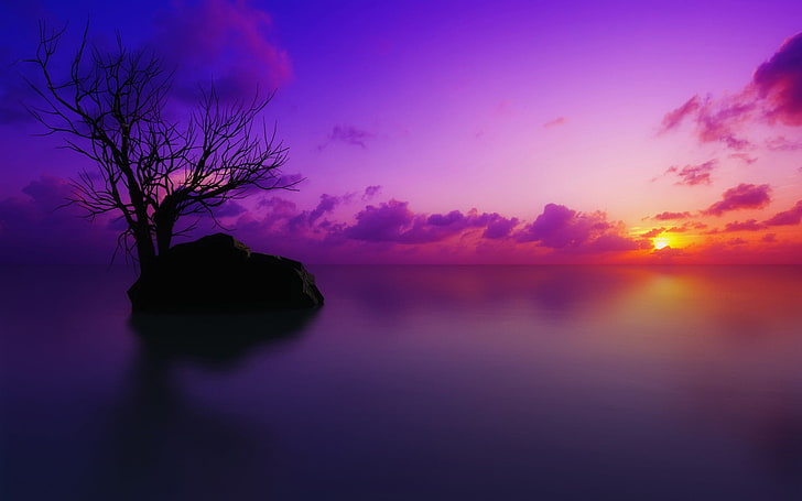 Meer, Wasser, Sonnenuntergang, Bäume, Himmel, Sonnenlicht, Natur, HD-Hintergrundbild