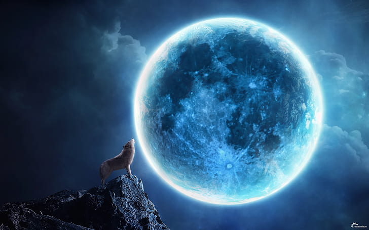 animals, art, CG, clouds, digtal, dogs, fantasy, howling, landscapes, Magic, mood, Moon, moonlight, night, sky, wolf, wolves, HD wallpaper