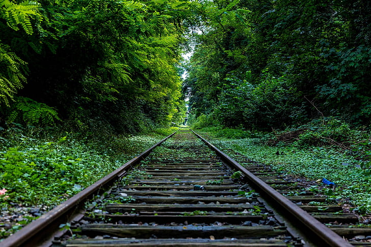 abandoned, forest, industry, nature, overgrown, railroad, rails, straight, track, HD wallpaper