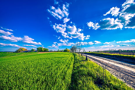 حقول الأرز ، الطريق ، الخضر ، السماء ، الشمس ، الغيوم ، الحقول، خلفية HD HD wallpaper