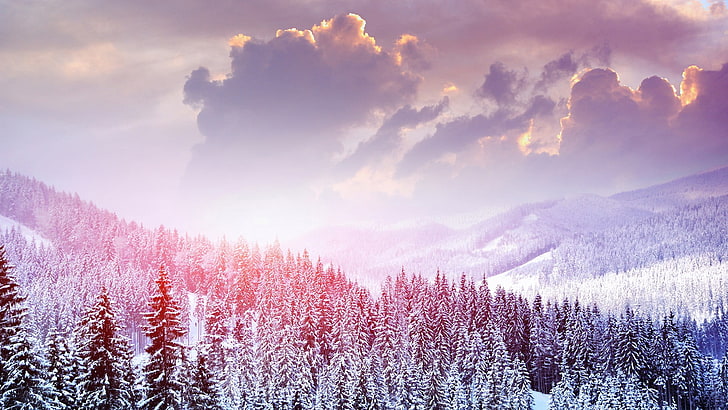 snowy mountain trees, winter, snow, mountains, HD wallpaper