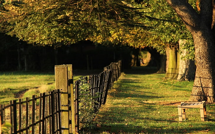 brown fence, fence, grass, trees, HD wallpaper
