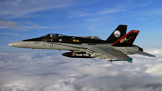 Super Hornet F-18 Fighter, flygplan, stridsplan, HD tapet HD wallpaper