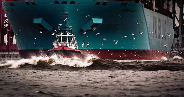 speedboat putih dan merah, Air, Laut, Papan, Burung, Kasing, Kapal, Camar, Kapal kontainer, Tangki, Limbah, Maersk, Jalur Maersk, Tug, Maersk Essex, Wallpaper HD HD wallpaper