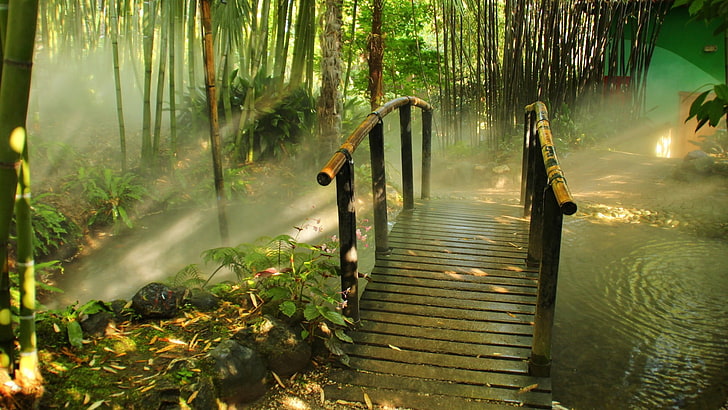 brauner hölzerner gestalteter brauner Holzstuhl, Landschaft, Natur, Bambus, Wald, HD-Hintergrundbild