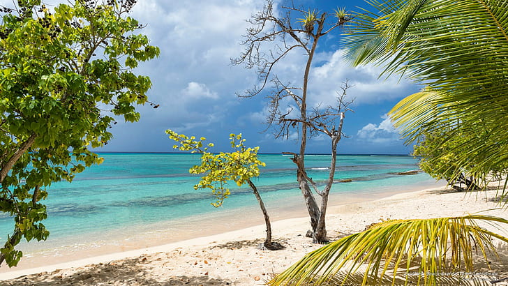 Pantai Souffleur, Grande-Terre, Guadeloupe, Kepulauan, Wallpaper HD