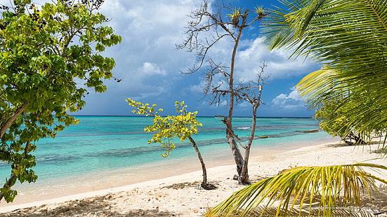 Souffleur Beach, Grande-Terre, Guadeloupe, Islands, HD wallpaper HD wallpaper