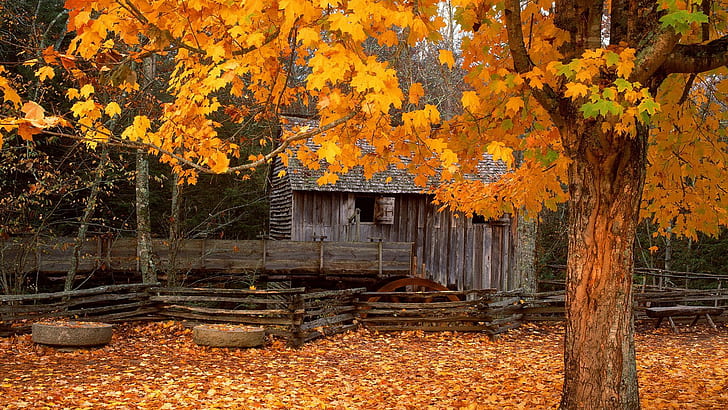 Autumn House Water Mill Architecture Houses HD Art , Old, nature, autumn, house, mill, Leaf, HD wallpaper