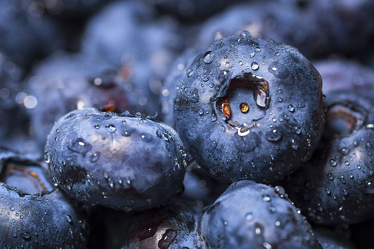 macro, blueberries, fruit, water drops, HD wallpaper