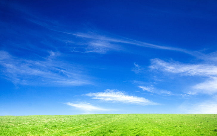 Синьо небе и зелена трева, зелено, синьо, трева, HD тапет