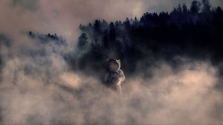astronaut, smoke, space suit, forest, trees, HD wallpaper