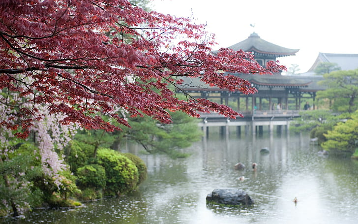 черешов цвят, река, парк, Япония, HD тапет