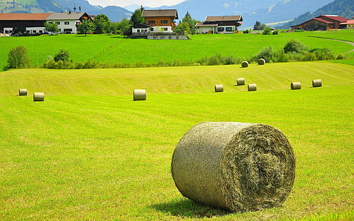 nature, landscape, hay, field, haystacks, Austria, grass, house, hills, trees, forest, mountains, Alps, HD wallpaper HD wallpaper