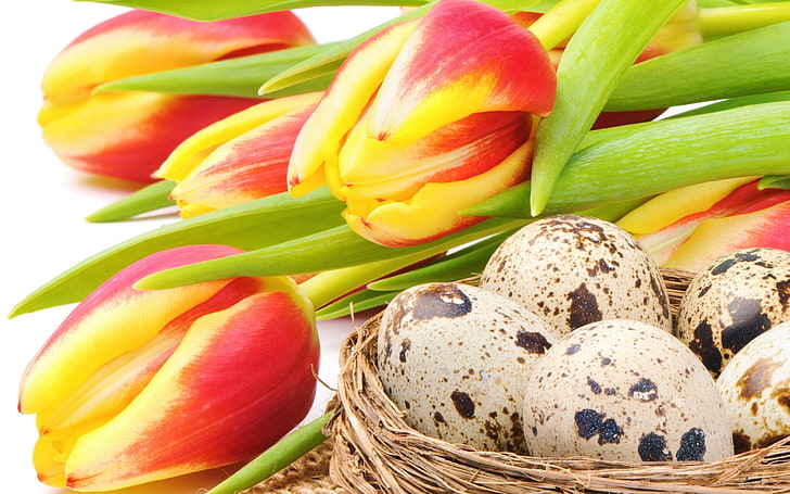 flowers, holiday, eggs, Easter, socket, tulips, red, yellow, bouquet, nest, red-yellow, HD wallpaper