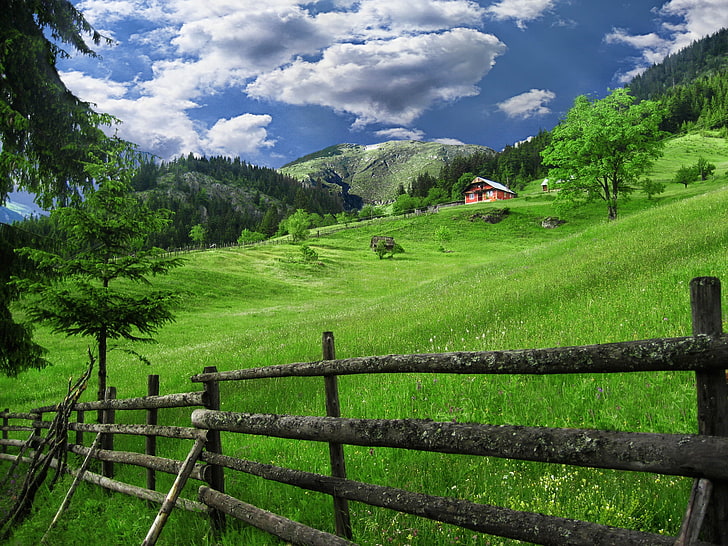 поле зеленой травы, дом, забор, деревня, косово, HD обои
