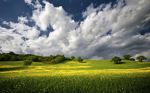 зелено тревно поле под синьо и бяло облачно небе през деня, Maremma, зелена трева, тревно поле, бяло, облачно, през деня, зелено небе, сигма, цветове, d300, Тоскана, Никон, Италия, пейзаж, cinigiano, природа, селско стопанство, селски Сцена, поле, лято, небе, на открито, ливада, облак - небе, ферма, синьо, земя, живопис, зелен цвят, жълто, пролет, HD тапет HD wallpaper