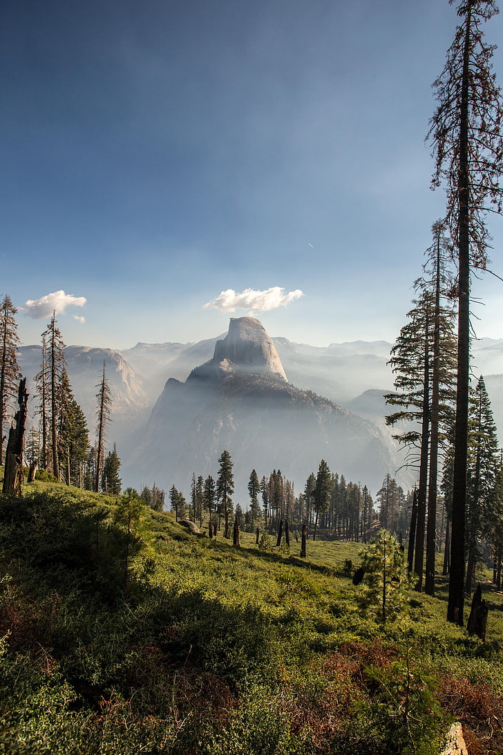 grands pins, Panorama Trail, Yosemite National Park, Californie, nature, arbres, montagnes, nuages, paysage, Fond d'écran HD, fond d'écran de téléphone