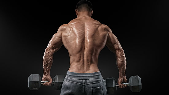 الرجال والعضلات والرياضة، خلفية HD HD wallpaper