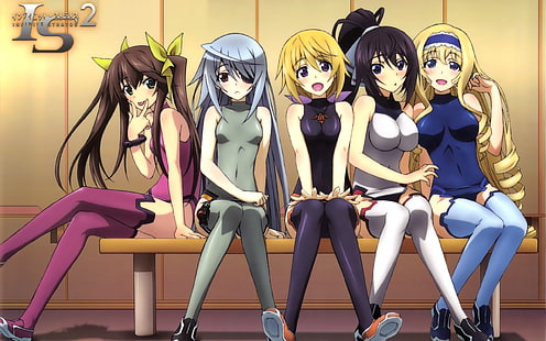 Anime Mädchen, Unendliche Stratos, Shinonono Houki, Dunois Charlotte, Huang Lingyin, Bodewig Laura, Alcot Cecilia, HD-Hintergrundbild HD wallpaper