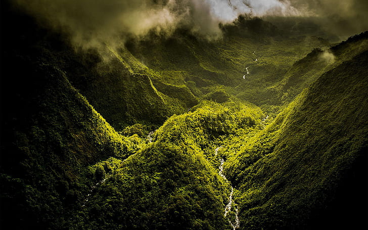 포레스트 정글 밸리 그린 HD, 자연, 녹색, 숲, 정글, 계곡, HD 배경 화면
