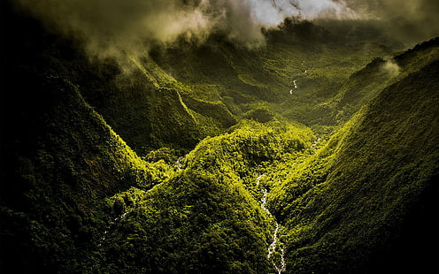 Forest Jungle Valley Green HD, przyroda, zieleń, las, dżungla, dolina, Tapety HD HD wallpaper