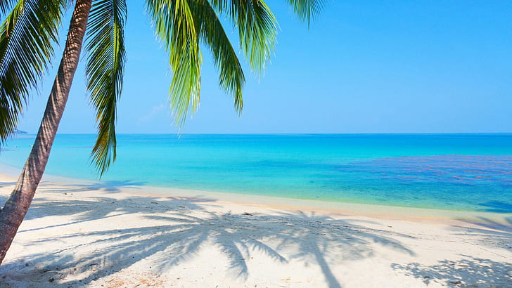 Paisaje, mar, palmeras, reflejado, playa, escritorio, paisaje, palmeras, reflejado, playa, escritorio, Fondo de pantalla HD