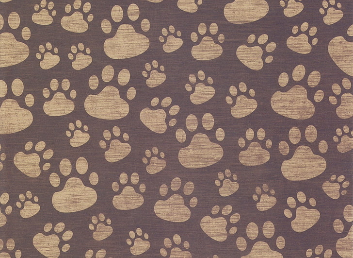 gray and beige paw print textile, footprints, paw, surface, texture, HD wallpaper