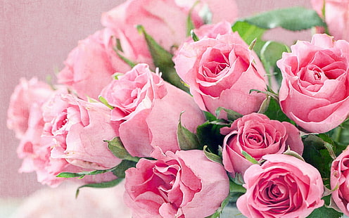 Färska blommor bukett med rosa rosor Desktop bakgrundsbilder gratis nedladdning, HD tapet HD wallpaper