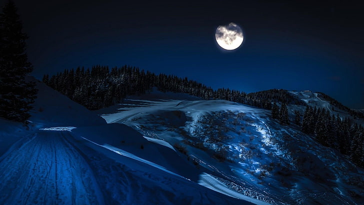 丘の斜面 ヨーロッパ オーストリア スティリア 山脈 暗闇 夜 夜空 雪 満月 冬 凍結 光 月 月光 空 山 Hdデスクトップの壁紙 Wallpaperbetter