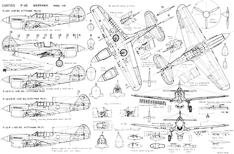 Military, Schematic, Curtiss P-40 Warhawk, HD wallpaper HD wallpaper