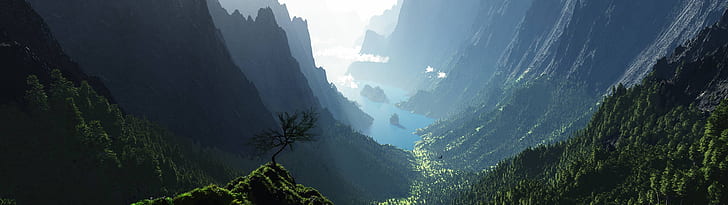 árbol de hojas verdes, montañas, lago, Fondo de pantalla HD