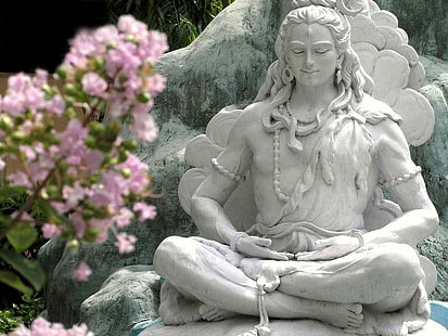 Lord Shiva Complete Self Possession, statue of a man, God, Lord Shiva, flower, snake, shiva, lord, HD wallpaper HD wallpaper