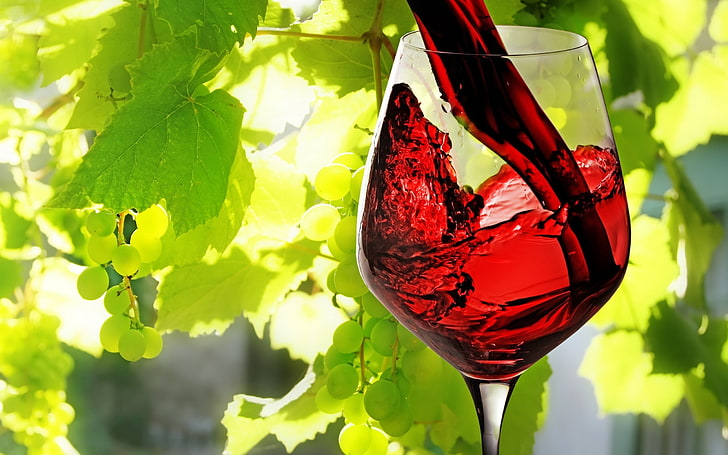 clear wine glass, nature, plants, photography, leaves, vines, grapes, vine leaves, macro, wine, HD wallpaper