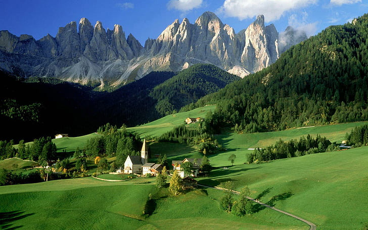 Alpin by, grönt gräsfält, värld, 1920x1200, skog, by, berg, HD tapet