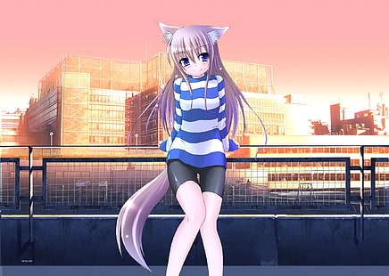 Anime Girls, Anime, Nekomimi, Tierohren, originelle Charaktere, HD-Hintergrundbild HD wallpaper
