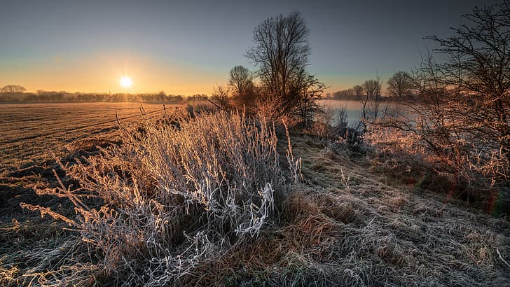 Landschaft, Kälte, Eis, Frost, Sonnenlicht, Outdoor, Winter, HD-Hintergrundbild
