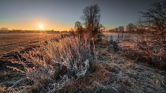 Landschaft, Kälte, Eis, Frost, Sonnenlicht, Outdoor, Winter, HD-Hintergrundbild HD wallpaper