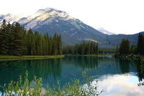zielona góra w pobliżu zbiornika wodnego w ciągu dnia, park narodowy Banff, kanada, park narodowy Banff, kanada, park narodowy Banff, Kanada, zielona góra, zbiornik wodny, dzień, godzina, Banff Alberta, Rockies, przyroda, jezioro, góra, las, krajobraz, na zewnątrz, scenics, woda, drzewo, alberta, lato, odbicie, pasmo górskie, Piękno w naturze, Tapety HD HD wallpaper