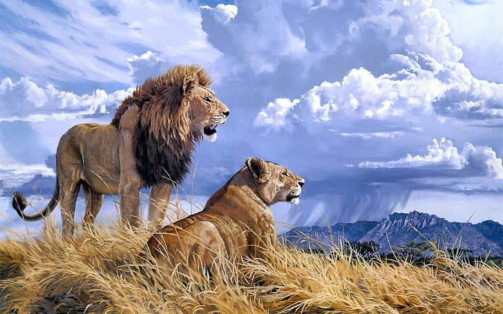 animals, clouds, lion, mountains, HD wallpaper