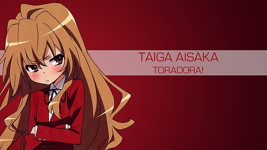 аниме момичета, Торадора !, Айсака Тайга, HD тапет HD wallpaper