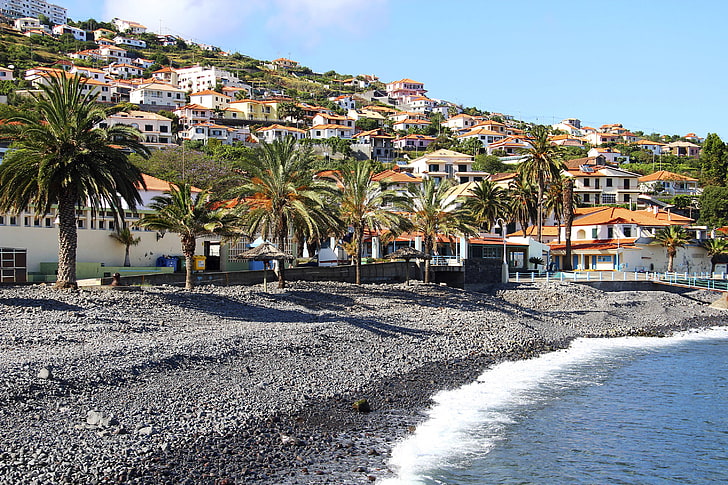 sea, stones, palm trees, coast, island, home, slope, Portugal, Santa Cruz, Madeira, HD wallpaper